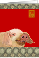 Birthday Year of The Pig Chinese Zodiac The Diligent Pig card