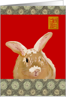 Birthday Year of The Rabbit Chinese Zodiac The Alert Rabbit card