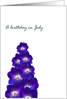 Birthday in July Larkspur Birth Month Flower Pretty Delphinium card