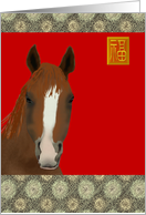 Birthday Year of The Horse Chinese Zodiac The Active Horse card