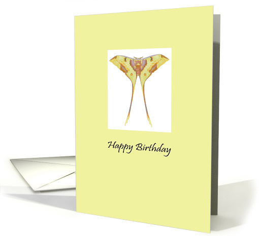 Birthday Moon Moth card (1298472)