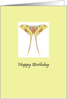 Birthday Moon Moth card