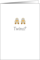 New Baby Congratulations Twins Two Baby Birds card