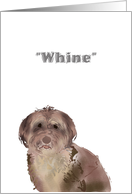 Get Well Whine From Dog card
