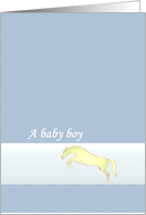 New Baby Boy Horse Picture On a Ribbon Announcement card