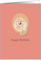 Birthday Cute Pomeranian card