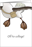 Off To College Cartoon Gull With School Bag Taking Off card