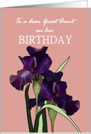 Birthday for Great Aunt Pretty Irises on Patterned Pink Background card