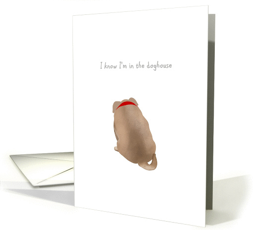 I'm sorry, dog with head down, in the doghouse card (1329918)