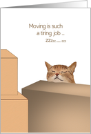 Congratulations on New Apartment Cat Asleep Against a Box card