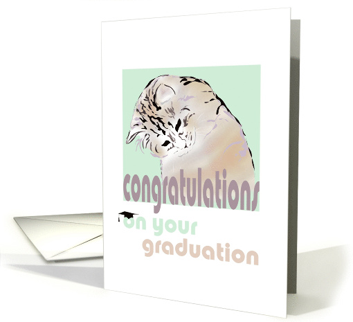Congratulations on Graduation Cat Looking Downwards card (1333652)