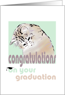 Congratulations on Graduation Cat Looking Downwards card