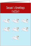 Season’s Greetings Seven Swans-A-Swimming 12 Days of Christmas card
