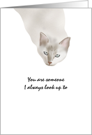 Birthday for Big Brother Cat Looking Up At You card