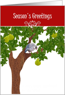 Season’s Greetings Partridge in Pear Tree 12 Days of Christmas card