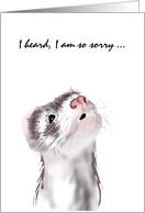 My Sympathy Ferret Looking Sad card