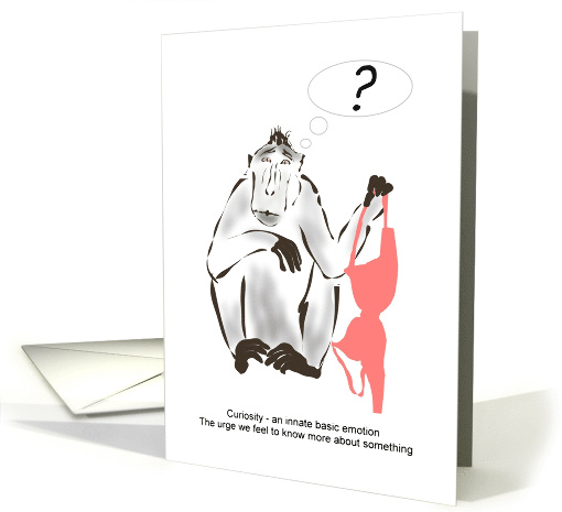 Humor Monkey Holding Bra with Curiosity Written On Its Face card
