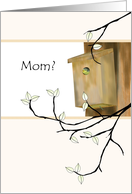 Birthday for Mom From Baby of The Family Baby Bird in Birdhouse card