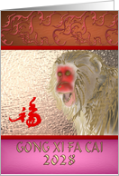 Chinese new year of the monkey 2028, profile of a monkey and luck card
