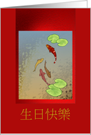 Chinese Birthday Greeting Colorful Koi Fish On Rich Red Scroll card