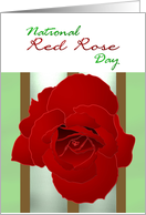 National Red Rose Day June 12 Beautiful Rose card