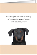 Thinking Of You Away At College From Pet Sad Looking Dog card