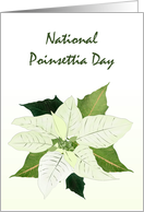 National Poinsettia Day White Poinsettia Bloom card