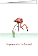 Get Well Broken Leg Flamingo Standing in Water With One Leg in a Cast card