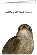 National Bird Day January 5 Sketch of a Cute Bird card