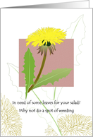 National Weed Appreciation Day The Versatile Dandelion card