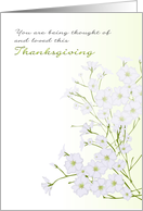 1st Thanksgiving Alone Bereaved Baby’s-Breath Flowers card