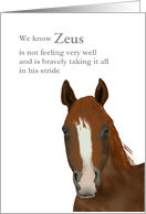 Encouragement For Owner Of Horse With Cancer card