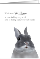 Encouragement For Owner Of Pet Rabbit With Cancer Cute Rabbit card