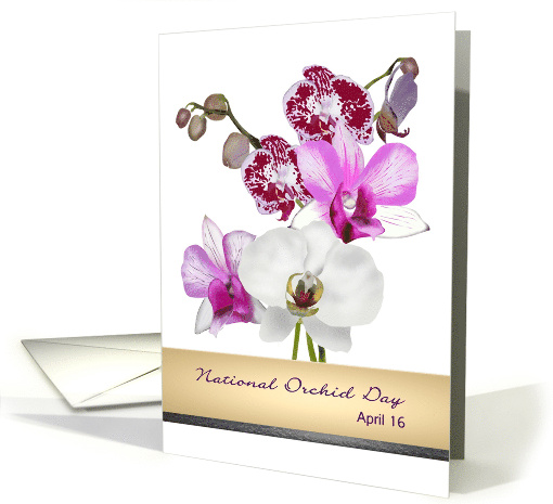 National Orchid Day Beautiful Orchid Blooms card (1469470)