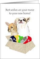 Good Luck On Move To New Home Chihuahuas With Feeding Bowls Toys card