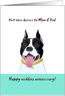 Wet Nose Kisses From Pet Dog For Couple on Wedding Anniversary card