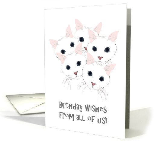 Birthday from All of Us Cute Cats with Big Eyes card (1497422)