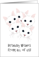Birthday from All of Us Cute Cats with Big Eyes card