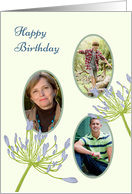 Birthday Photocard Pretty Agapanthus Blooms card