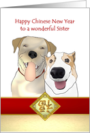Chinese new year greeting for sister, two happy dogs and luck card