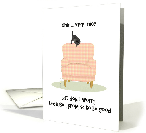 New Year's Greetings From Pet Cat Kitten Perched On New Armchair card