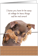 Thinking Of You Away At College Missing You From Pet Dog card