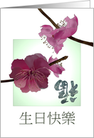 Birthday in Chinese Pretty Pink Plum Blossoms And Luck card