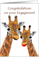 Engagement Congratulations Lovely Giraffe Couple card