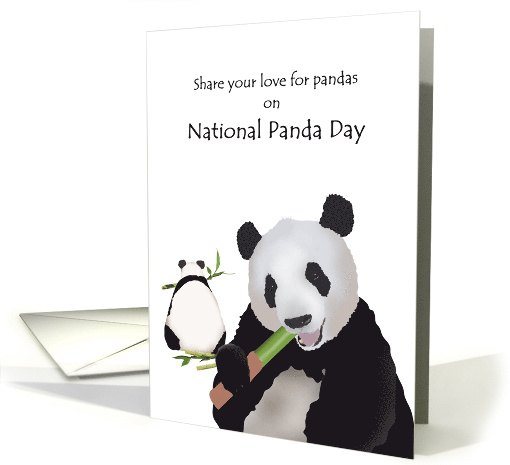 National Panda Day Pandas Feasting on Bamboo card (1546084)