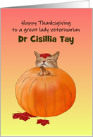 Thanksgiving for Lady Veterinarian Cat Napping Against Pumpkin card