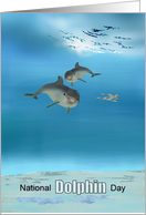 National Dolphin Day Dolphins in the Ocean card