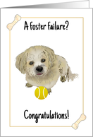 Congratulations on a Foster Failure Dog and Ball card