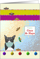 Coronavirus Cute Dog with Mask Tumbling Sombreros Cinco de Mayo card