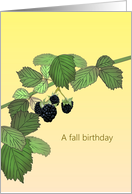Fall Birthday Drawing of Blackberries and Foliage card